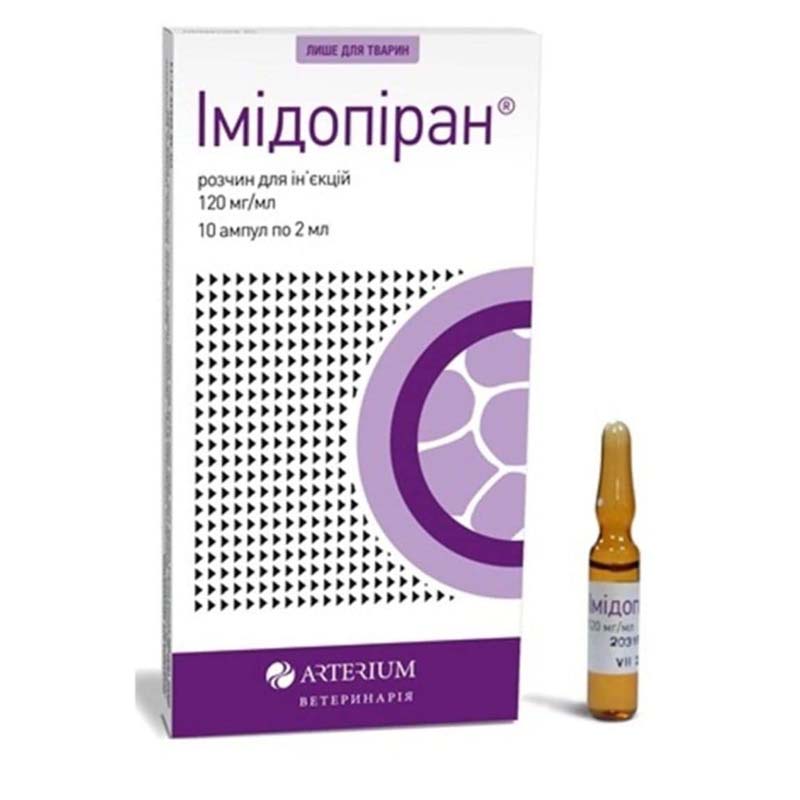 Імідопіран для собак: інструкція, дозування, побічні ефекти