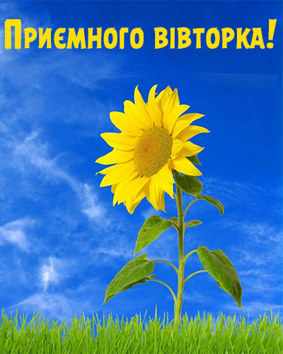 Доброго ранку гарного вівторка