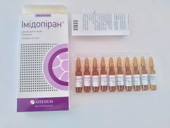 Імідопіран для собак: інструкція, дозування і побічні дії Імідопіран для собак: інструкція, дозування і побічні дії